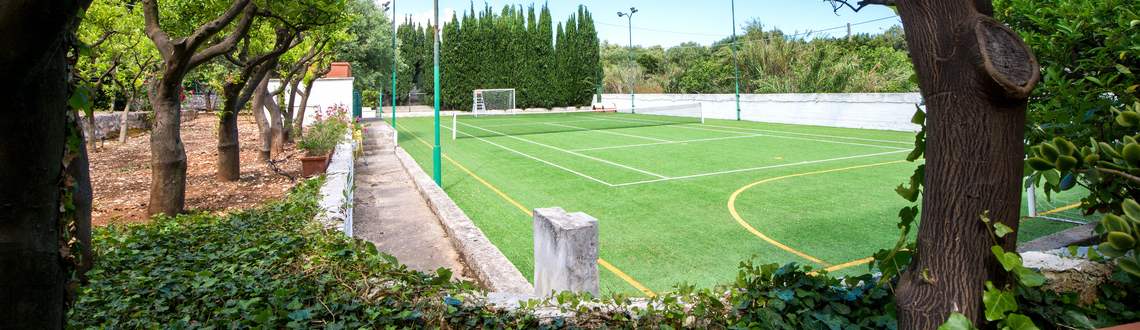 Home Play Court